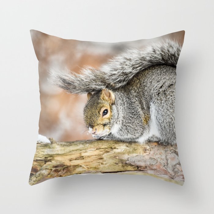A Cozy Blanket Throw Pillow by Stephani Rae Photography