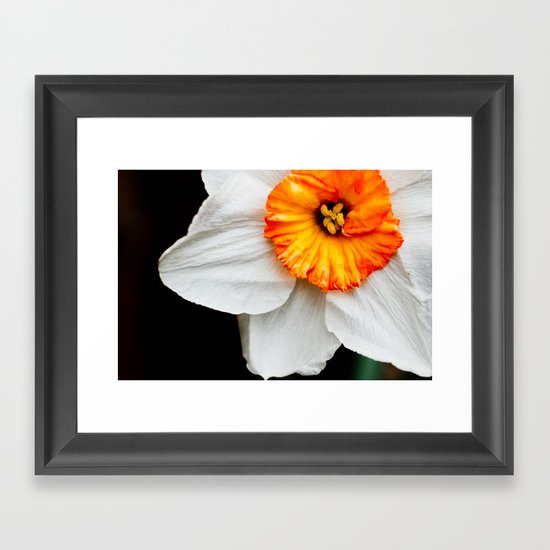 Wall Flower Framed Art Print