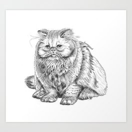 Yes it is a real cat! Art Print