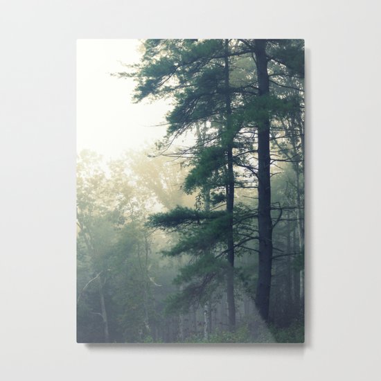 My Escape Metal Print