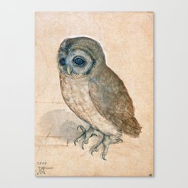 The Little Owl 1508 Albrecht Durer Canvas Print