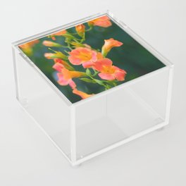 Orange Flowers Acrylic Box