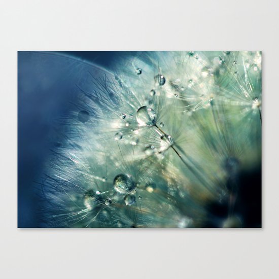 Dandelion Drama Canvas Print