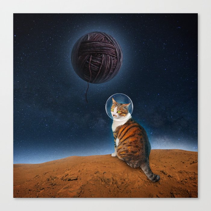 Meowter Space Canvas Print
