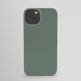 Sage Green Solid iPhone Case