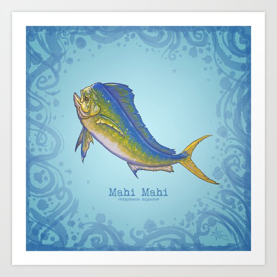 Mahi Mahi ~ Coryphaena hippurus Art Print