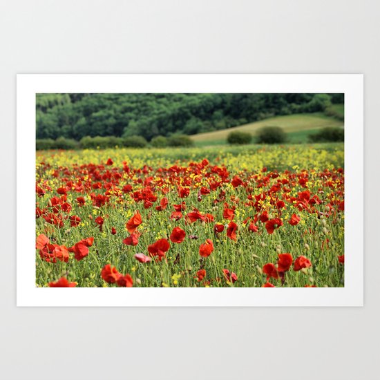 Poppies, Poppies, Poppies Art Print