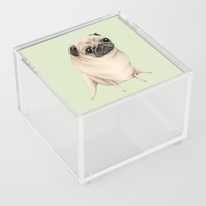 Sweet Fawn Pug Acrylic Box