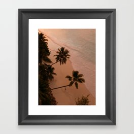 Seychelles Palm Sunset  Framed Art Print