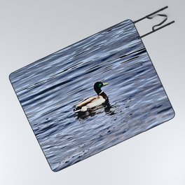 Loch an Eilein Duck in I Art and Afterglow Picnic Blanket