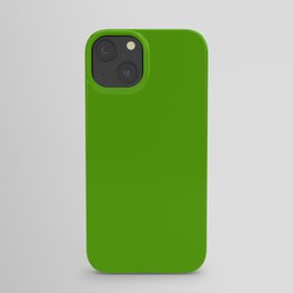 Monochrom 13 green iPhone Case