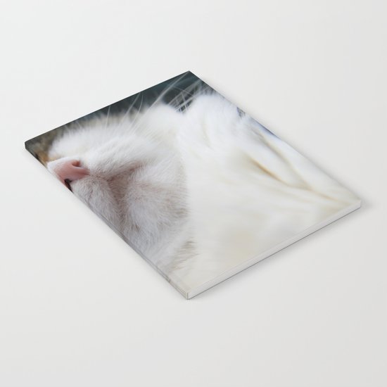 Cat I Notebook
