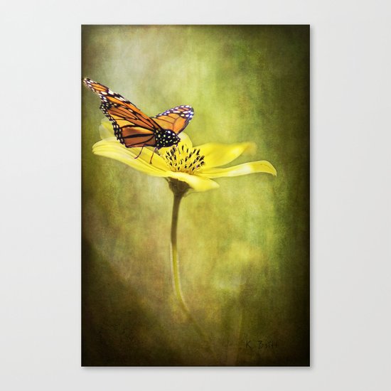 Smooth Landing Canvas Print