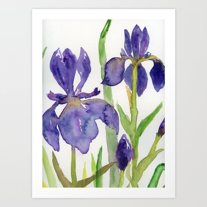 irises Art Print by Andrea Kosar | Society6
