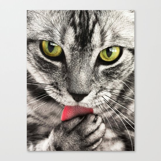 Seductive Cat (Funny) Canvas Print