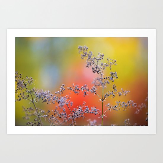 Flowers in autumn Art Print