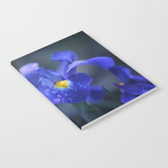 Iris Notebook