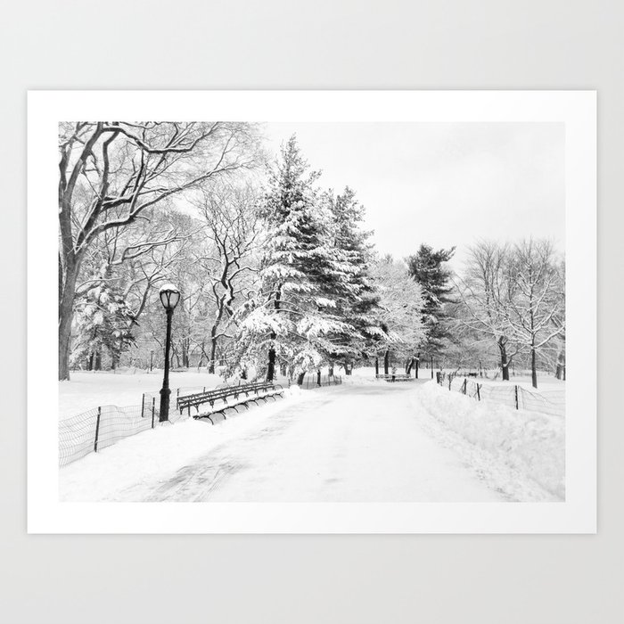 New York City Winter Trees In Snow Art Print By Newyorkphotography