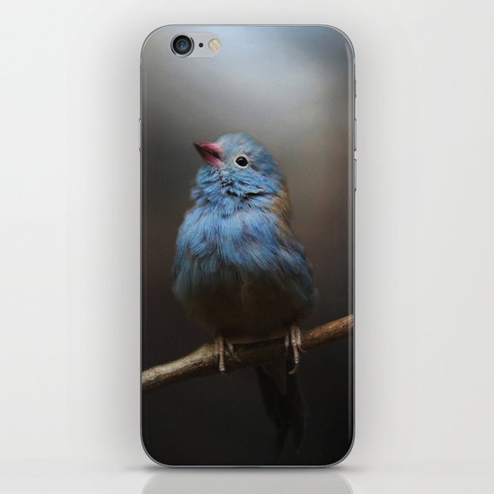 Believe! iPhone & iPod Skin