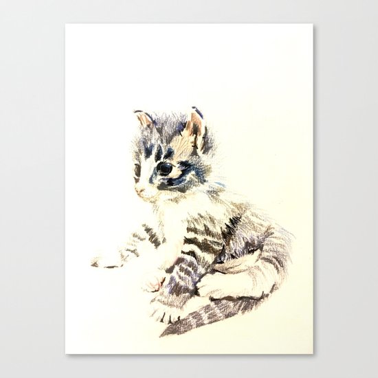 Ready to play Canvas Print