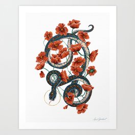 Let Go, Let Grow – Teal Snake in Red Poppies Art Print