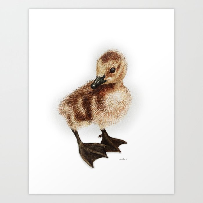 Cute Canadian Gosling Art Print