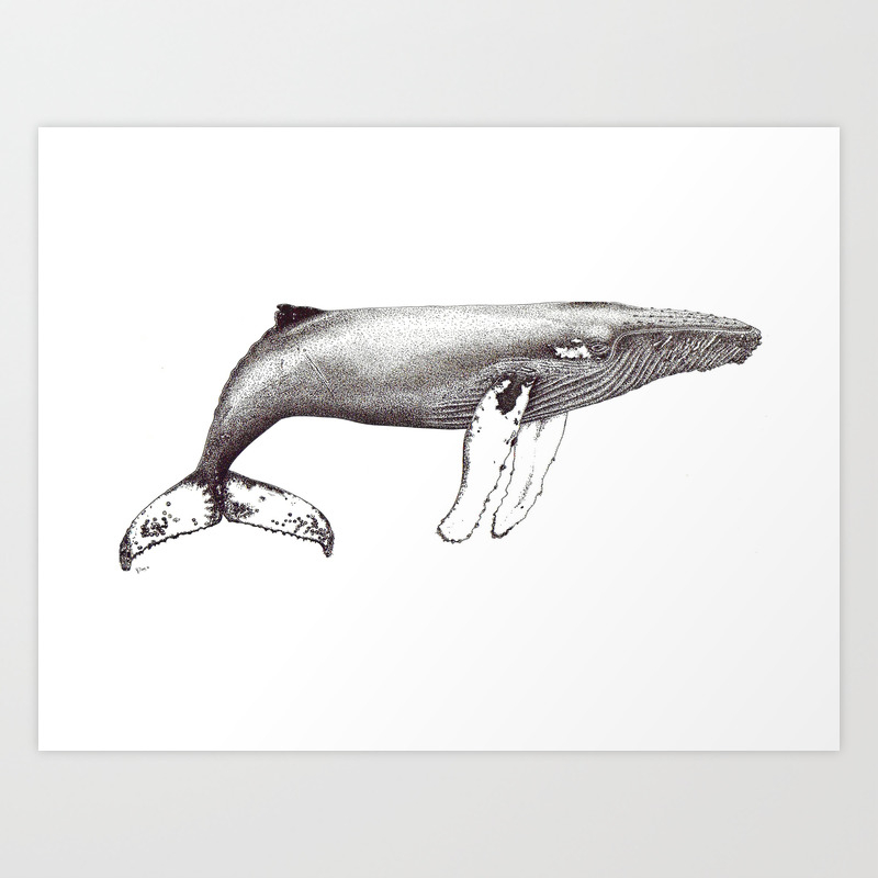 Humpback Whale Black And White Ink Ocean Decor Art Print By Chloeyzoard Society6