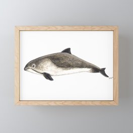 Harbour porpoise Framed Mini Art Print