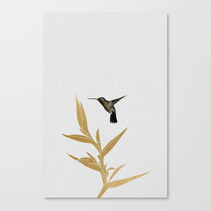 Hummingbird & Flower II Canvas Print