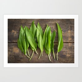 Wild garlic Art Print | Flora, Buckrams, Green, Wildgarlic, Wood, Leek, Healthy, Food, Herb, Ramson 
