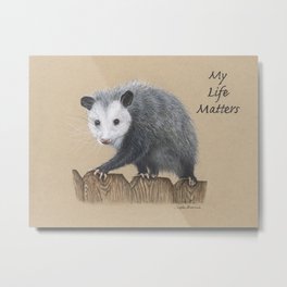 Opossum Metal Print | Animal, Wild, Sweet, Pastel, Opossum, Drawing, Cute 
