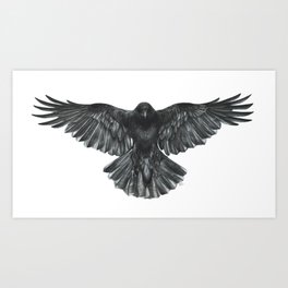 Crow in Flight Art Print