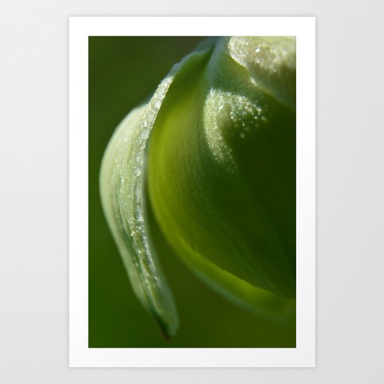 Free To Be Art Print