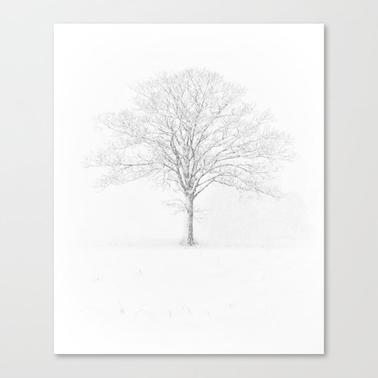 Tree in the Snow Canvas Print