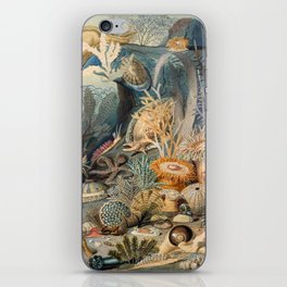 James M. Sommerville, Christian Schussele. Ocean Life. c. 1859. High Quality Reproduction On Public domain. iPhone Skin