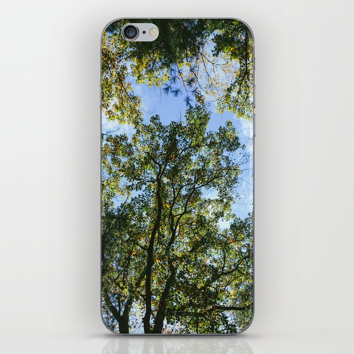 Forest DayDreaming iPhone Skin