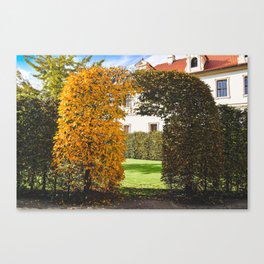 Autumn at Wallenstein Garden, Prague Canvas Print