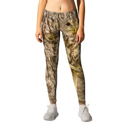 Perched Tawny Owl Leggings