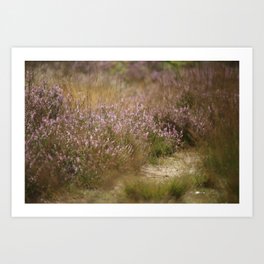 Purple path through dreamy heather | Veluwe, the Netherlands  Art Print