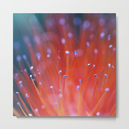 Rising Flames Metal Print