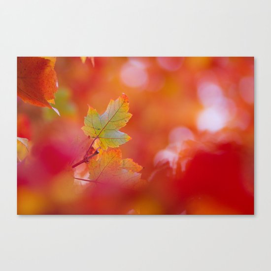 Green in a Sea of Red Canvas Print