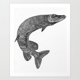 Northern pike - Esox lucius Art Print