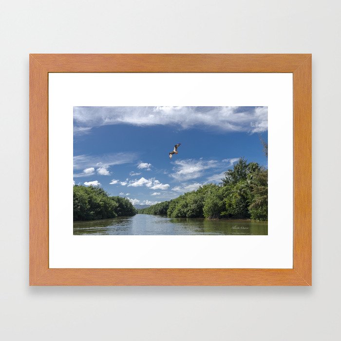 Rio Espiritu Santo y Osprey Framed Art Print