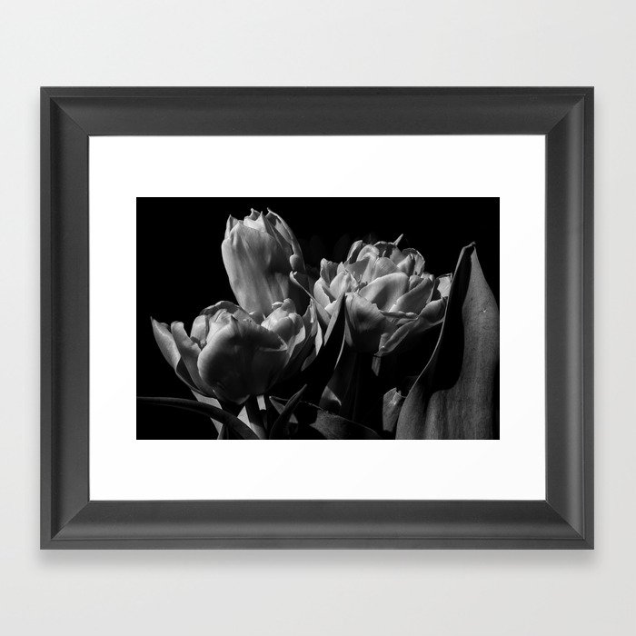 Tulips Framed Art Print