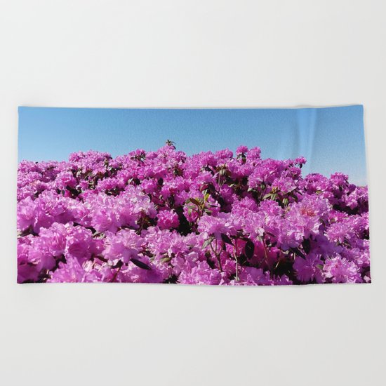 View of "Mount Rhodendron" on a clear day Beach Towel