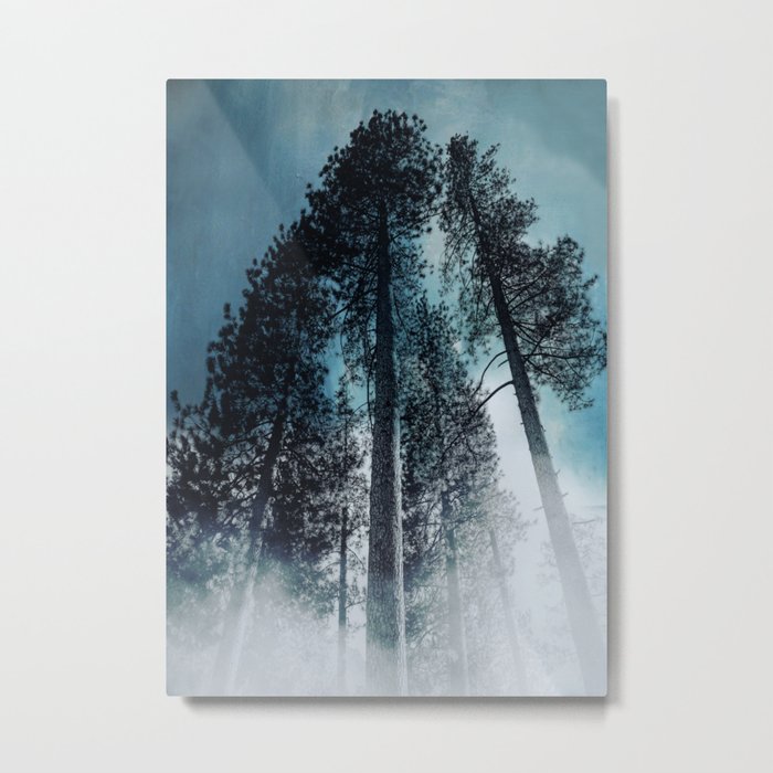 Forest 2 Metal Print