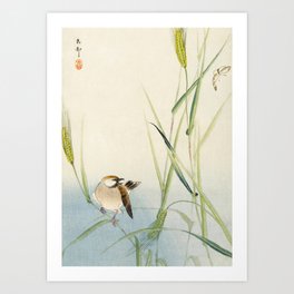 Sparrow and Butterfly  - Vintage Japanese Woodblock Print Art Art Print