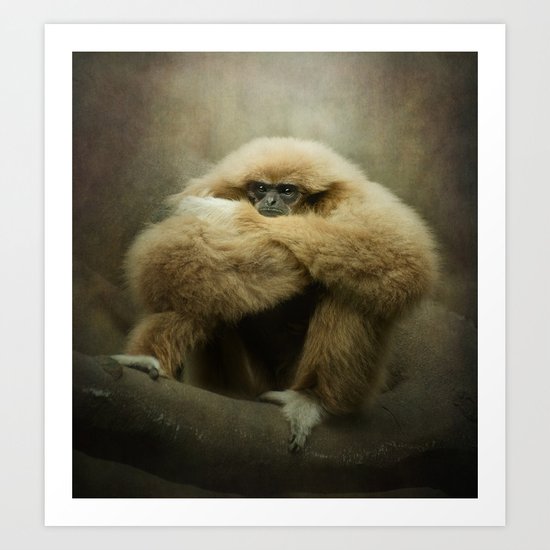 Study of a Gibbon - The Thinker Art Print
