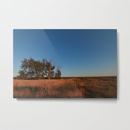 Field Metal Print | Landscape, Photo 