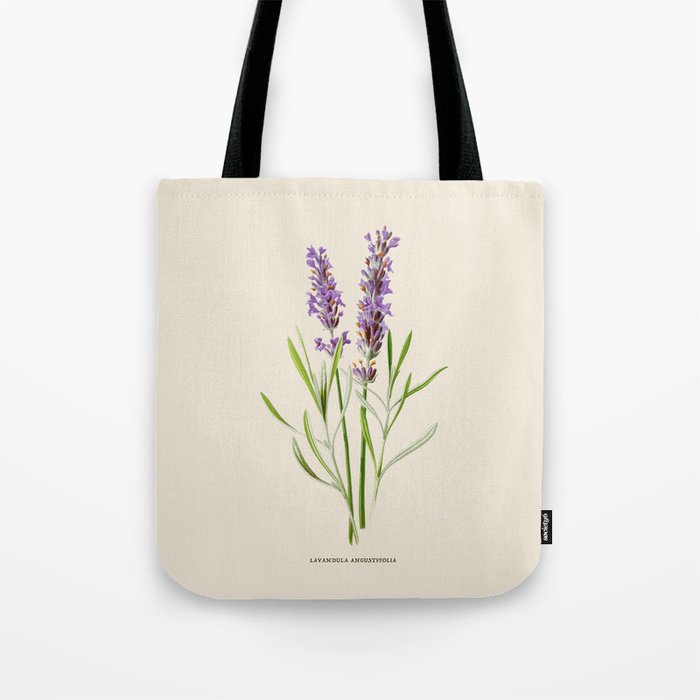 Lavender Antique Botanical Illustration Tote Bag